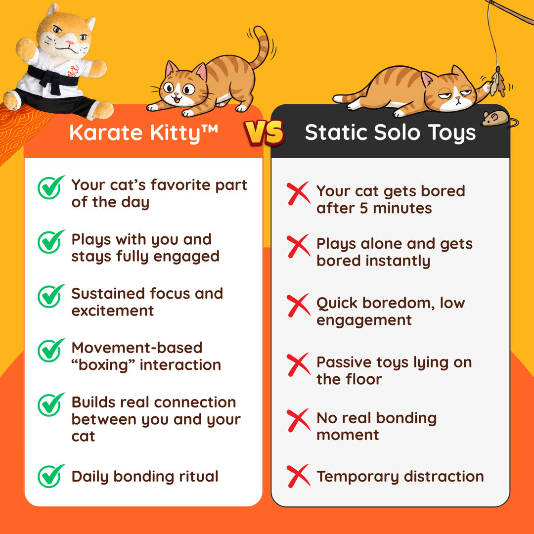 Karate Kitty™