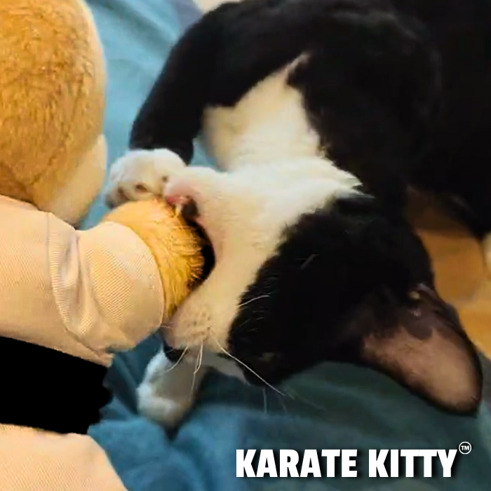 Karate Kitty™