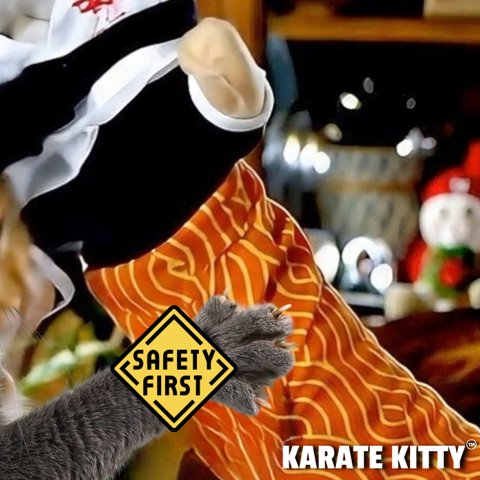 Karate Kitty™