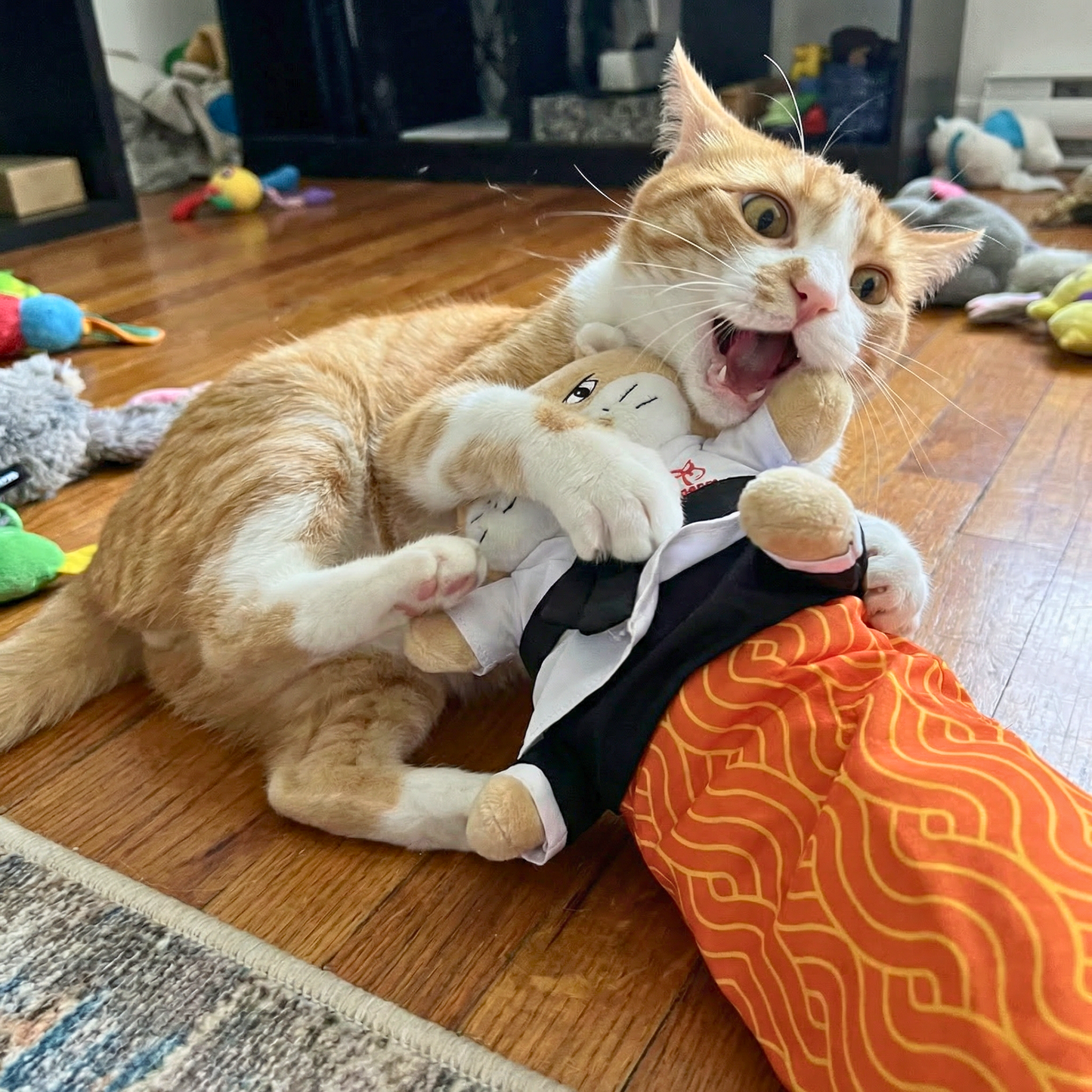 Karate Kitty™