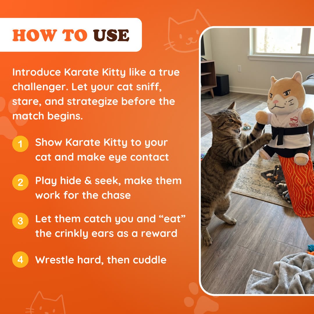 Karate Kitty™