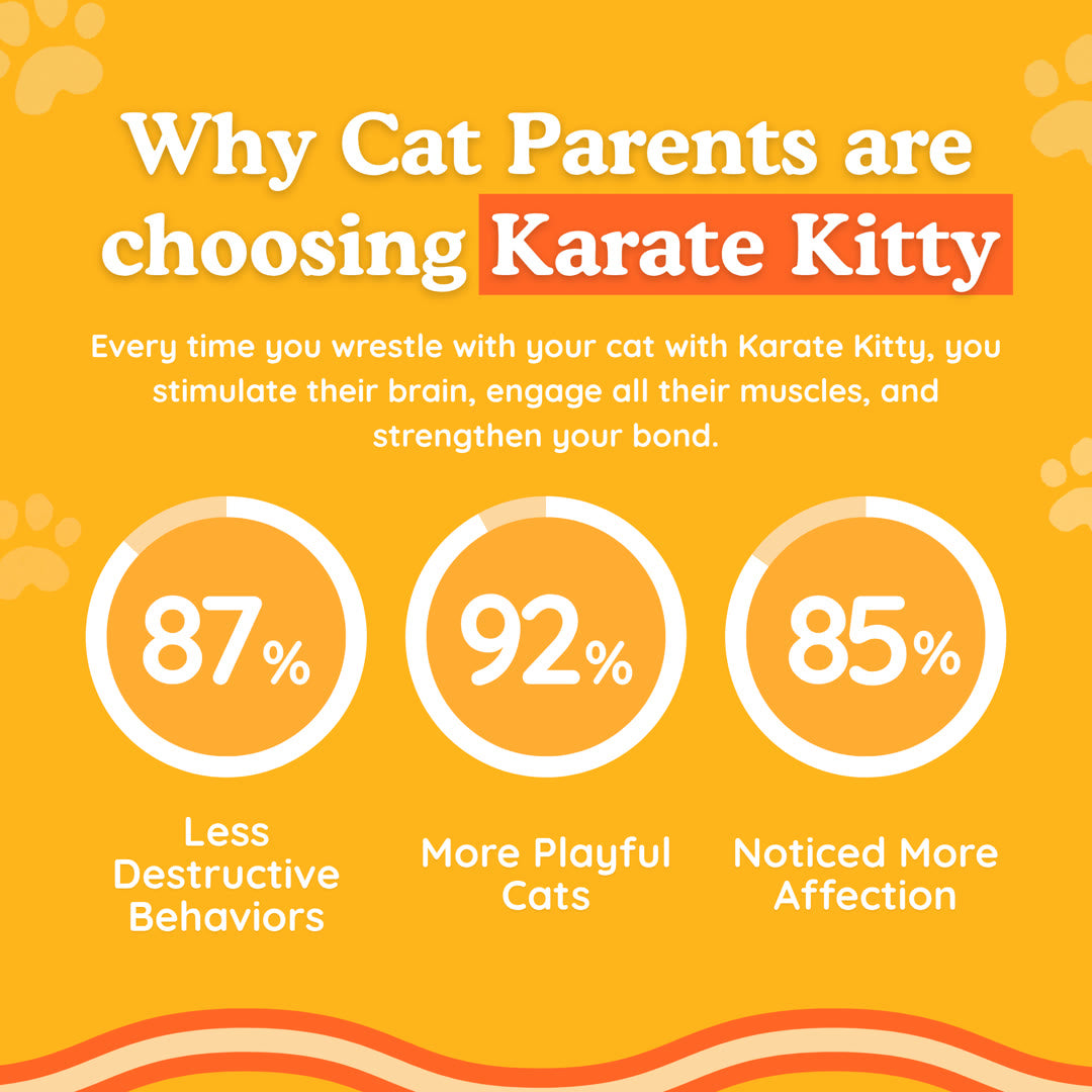 Karate Kitty™
