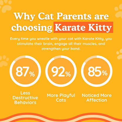 Karate Kitty™