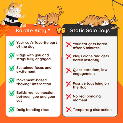 Karate Kitty™